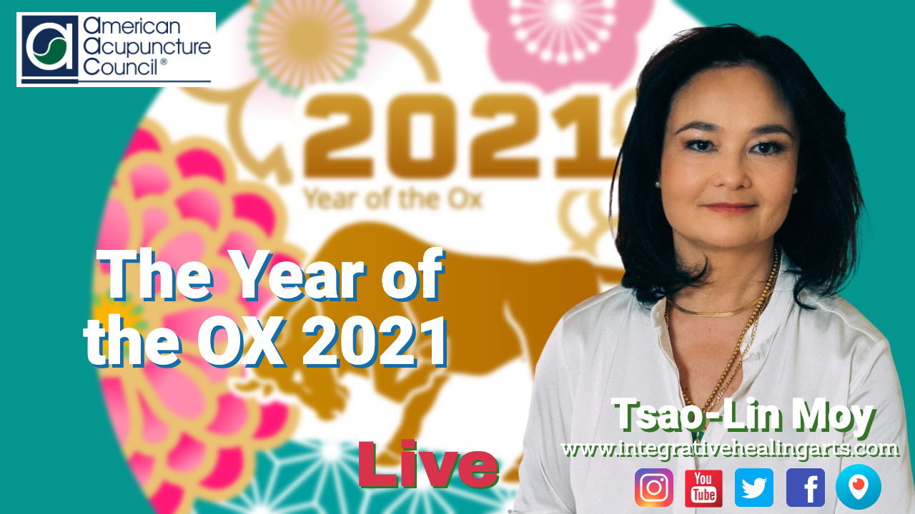 AACTTPMoy01202021HD Year of the Ox Thumbnail