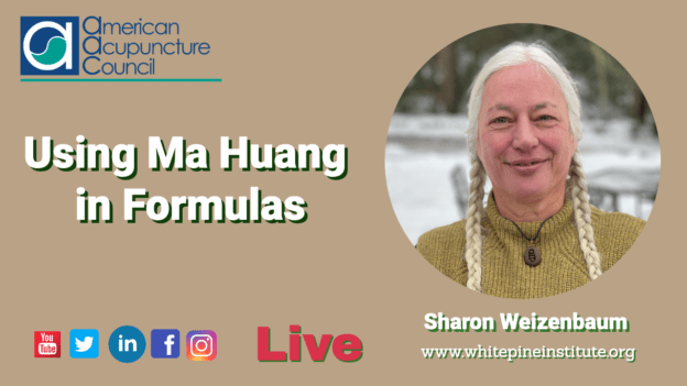 Click here to download the transcript. Disclaimer: The following is an actual transcript. We do our best to make sure the transcript is as accurate as possible, however, it may contain spelling or grammatical errors. Due to the unique language of acupuncture, there will be errors, so we suggest you watch the video while reading the transcript. Thumb