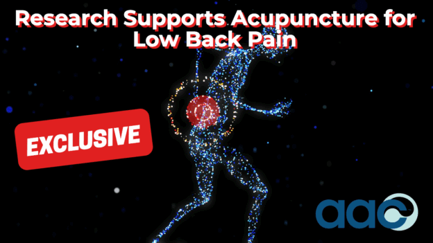 Research Supports Acupuncture for Low Back Pain