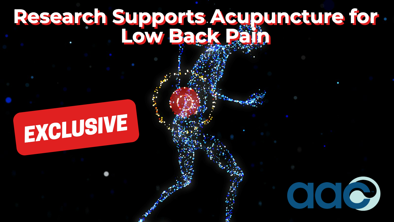 HD_Research Supports Acupuncture for Low Back Pain Research Supports Acupuncture for Low Back Pain